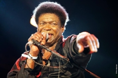 Charles Bradley -  (c) Ron Beenen