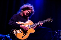 Pat Metheny - (c) Ron Beenen