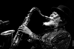 Pharoah Sanders - (c) Ron Beenen