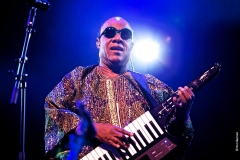 Stevie-Wonder-2-Ron-Beenen