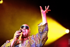 Stevie Wonder  - (c) Ron Beenen